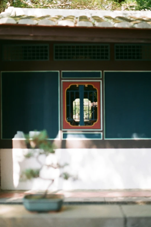 a potted plant is in the window on the wall