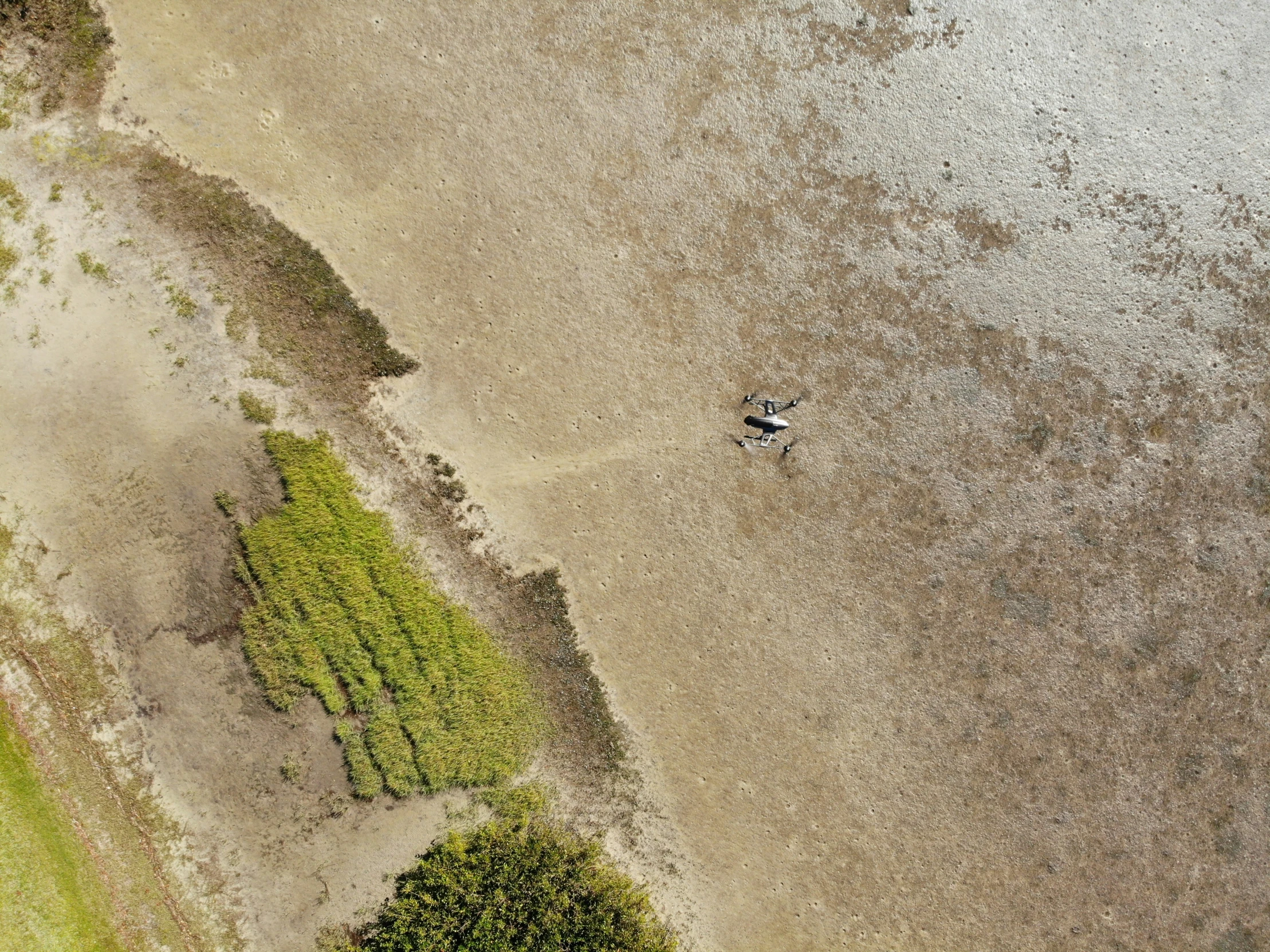 two people are walking along the edge of a beach