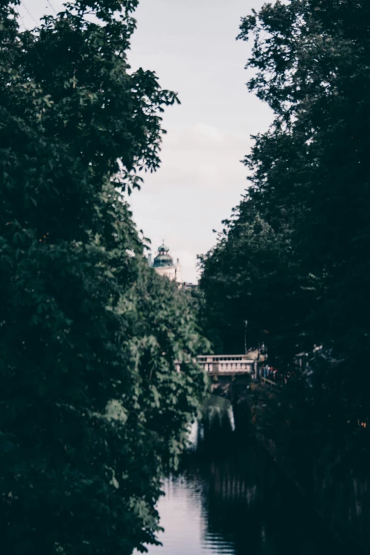 a river with trees along the bank and a bridge crossing over it