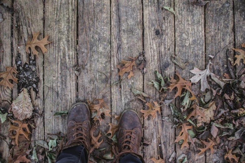 brown shoes on the ground next to leaves