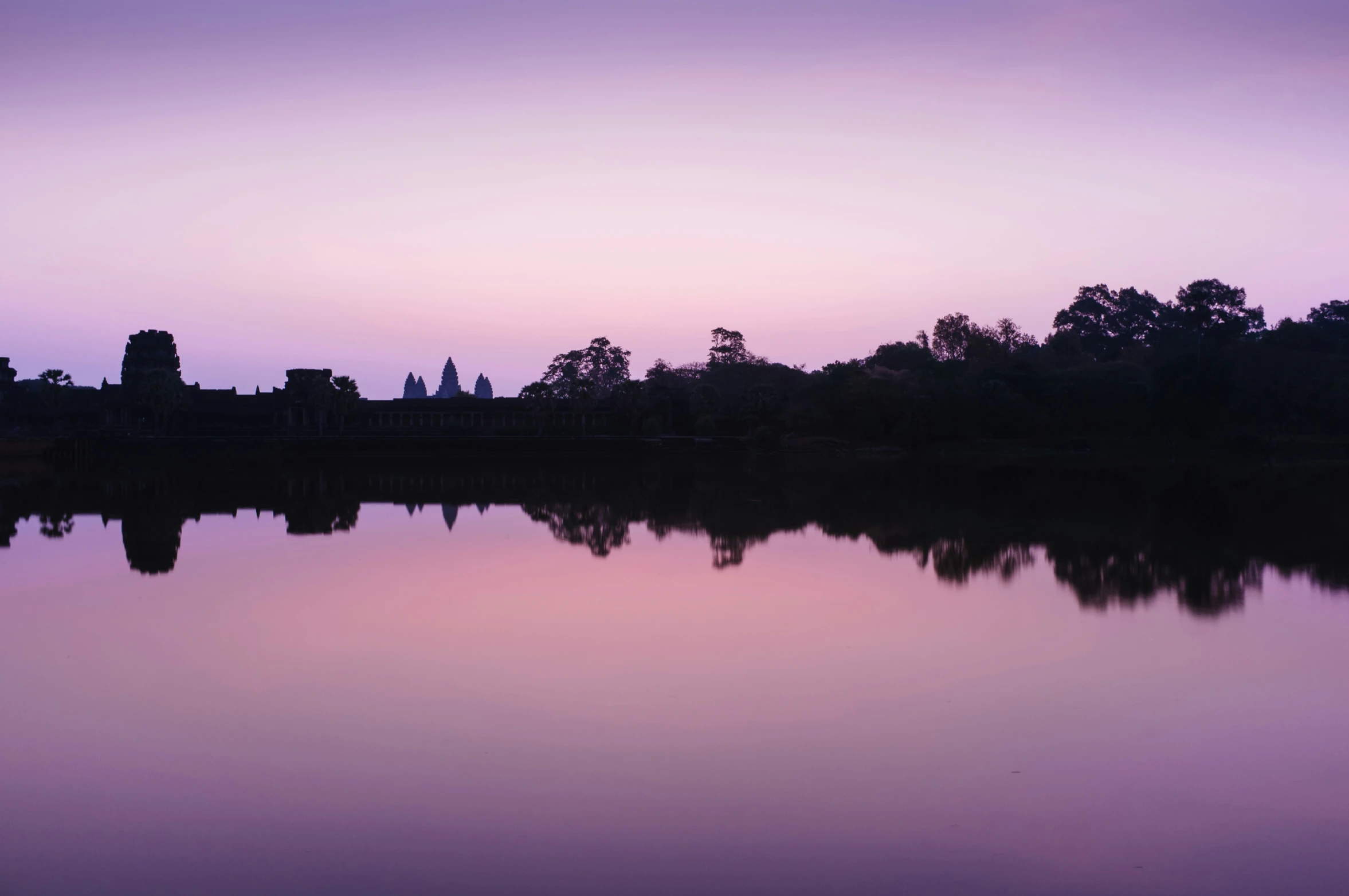 an area that has some water and a bunch of trees