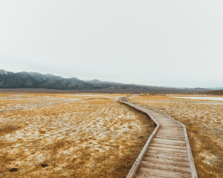 a pathway in the middle of a field with a mountain range in the background