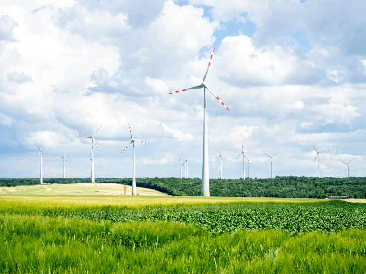 a large amount of wind turbine in a green field