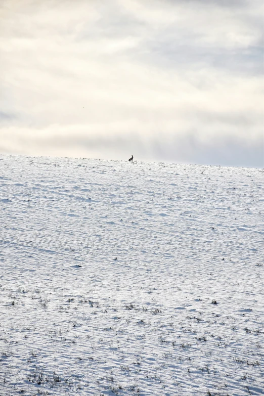 two people are out on the ocean walking in the snow