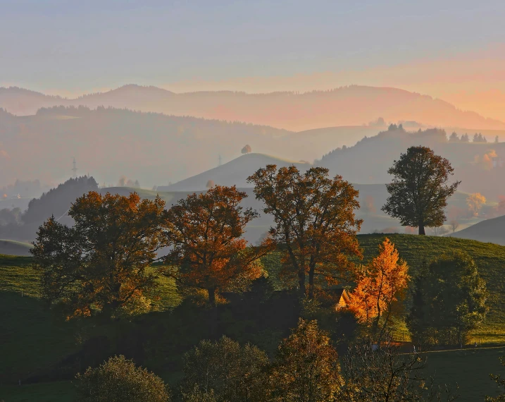 the trees in the valley are silhouetted by the sun's rays