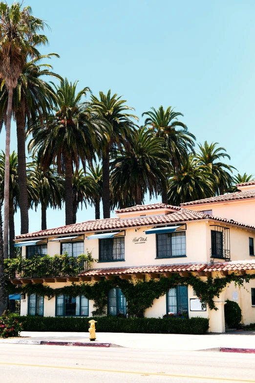 a palm tree and motel on a sunny day