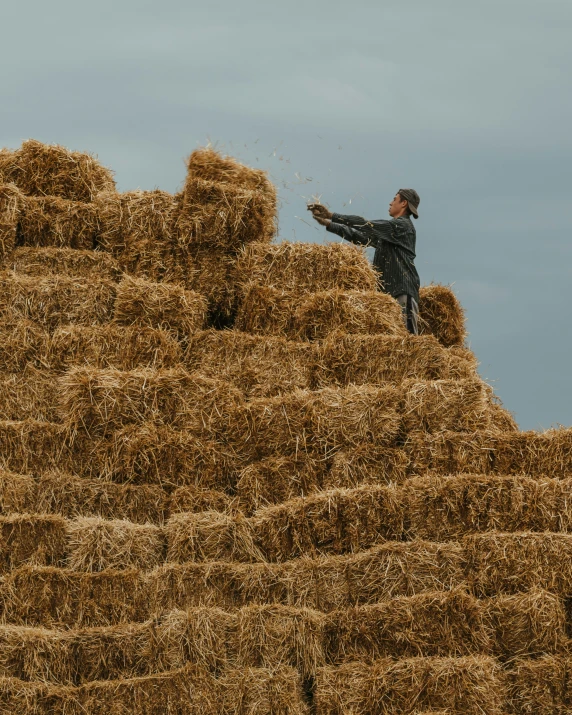 a person holding an object while standing on top of a pile of hay