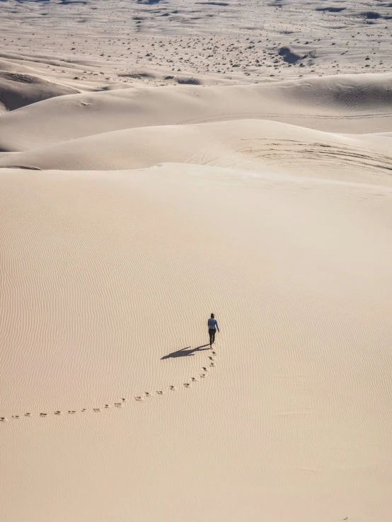 lone person hiking in the middle of the desert