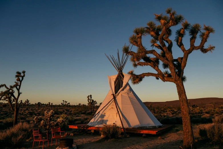 a teepee surrounded by joshua tree, chairs and tables