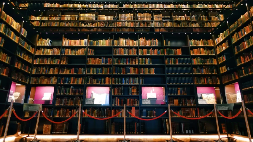 an interior view of a long bookshelf with lights on