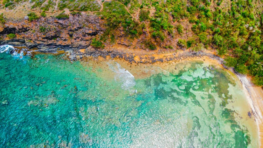 the beach has many green trees on it