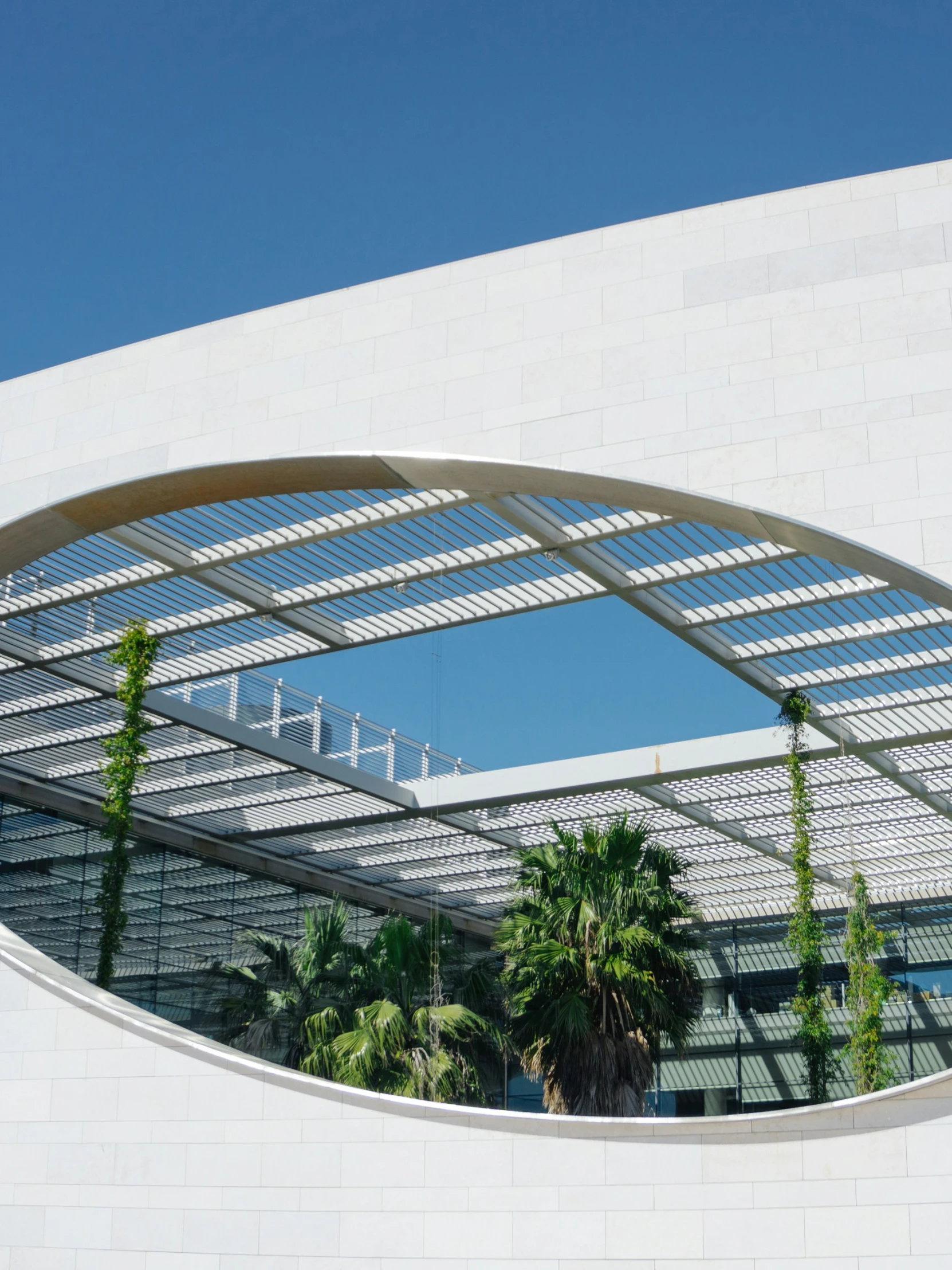 a white wall with palm trees and plants reflected in it