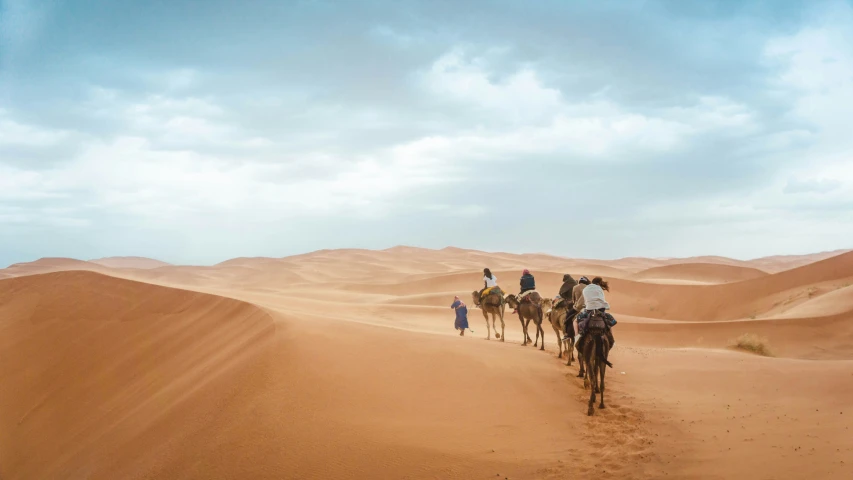 people riding camels through the desert, with sky in the background