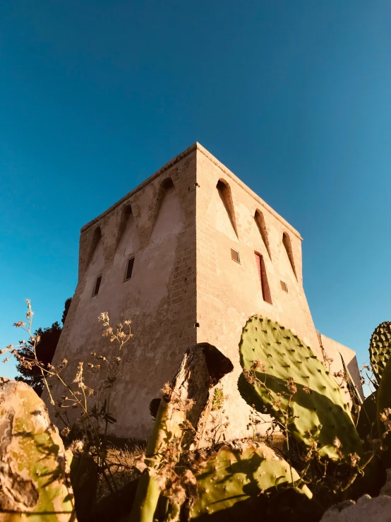 there is a building on top of a hill surrounded by plants