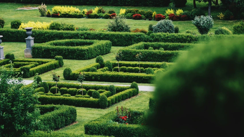 a large and small green garden with many hedges