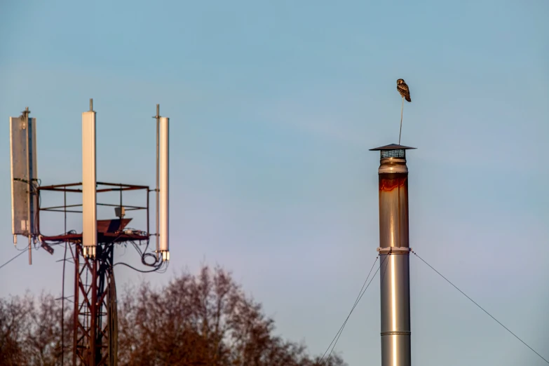 a bird that is sitting on top of some antennas