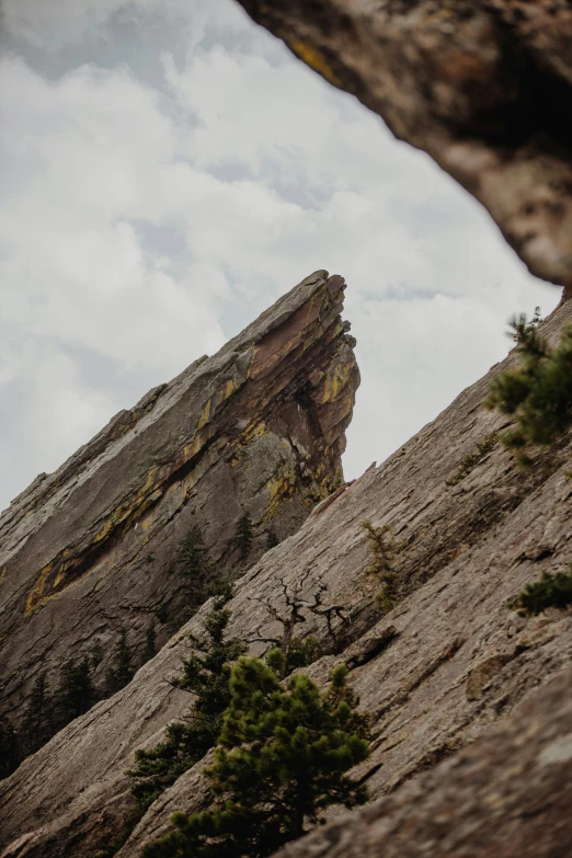 a view from beneath an outcropping of the face of an ancient rock