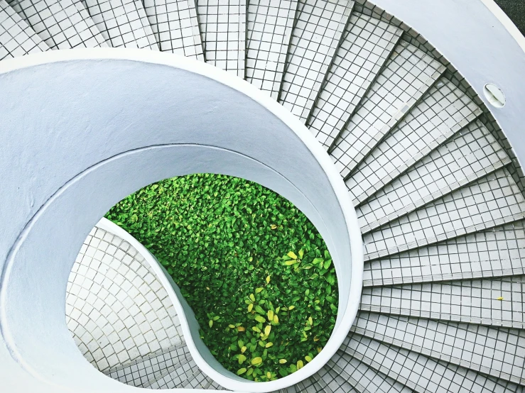 a view from above looking down on a white circular staircase with grass in the middle