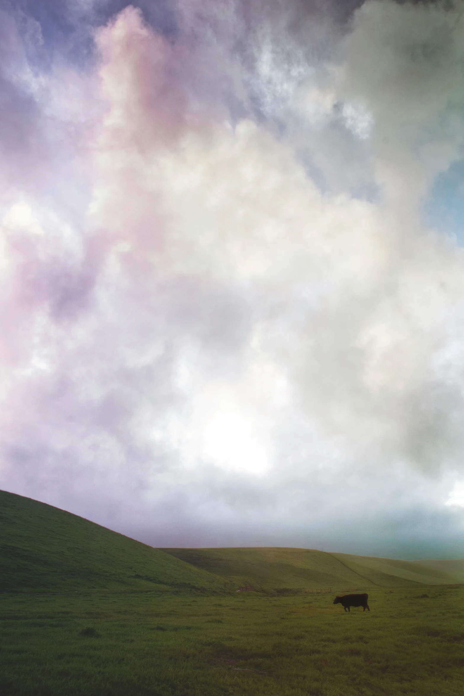 sheep grazing on a lush green hillside under cloudy skies