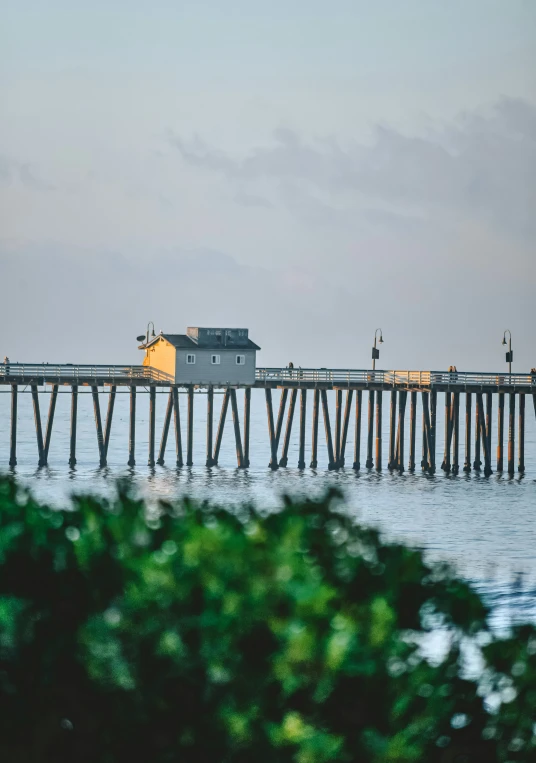 view of long pier in the ocean and trees near it