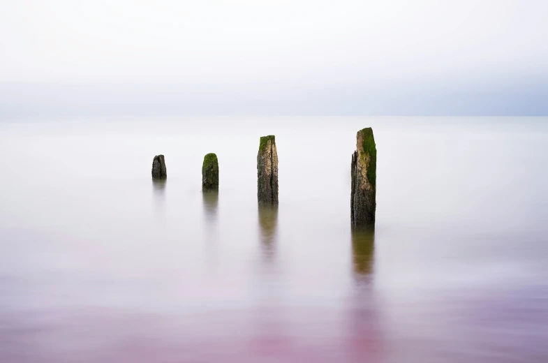 wooden posts sit in the middle of a body of water