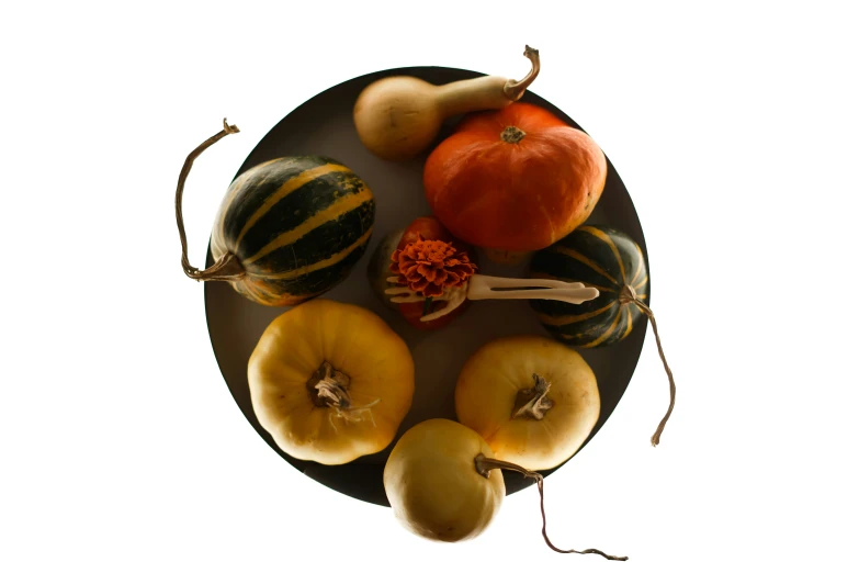 squash and gourds arranged on a platter