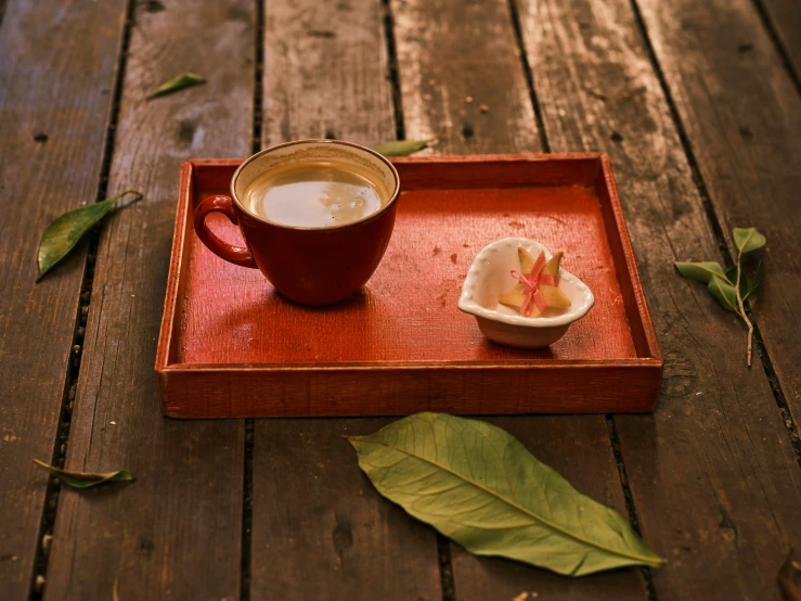 a cappuccino on a tray with a piece of leaves next to it