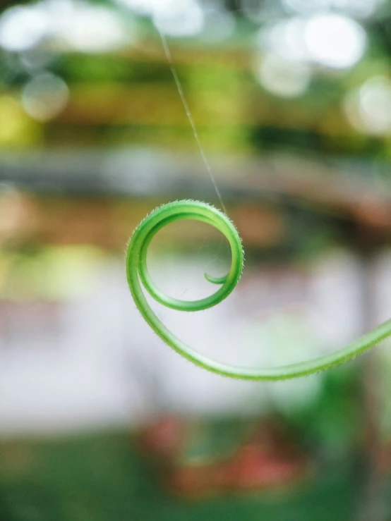 an abstract picture of a green wire with a blurry background