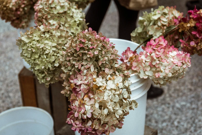 a bunch of flowers that are in a bucket