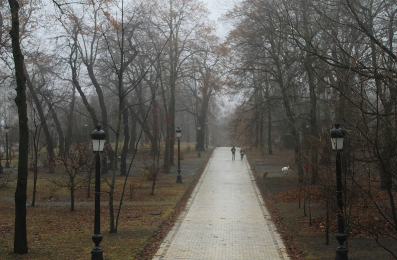 two people walk down a pathway between trees