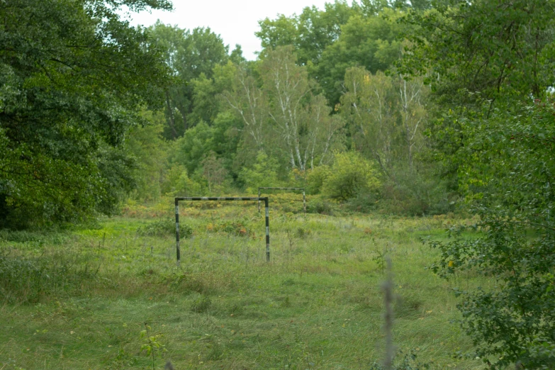 a field with trees, bushes and a metal fence