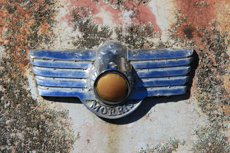 a blue winged type object is shown with rust