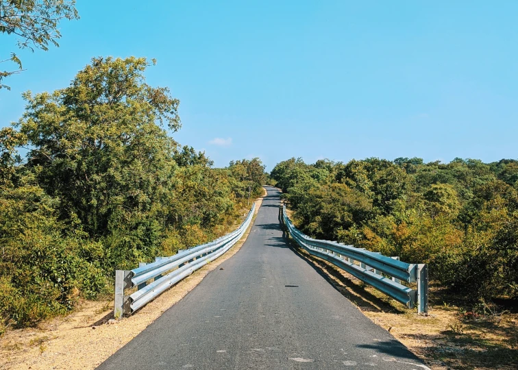 the roadway has a fence and trees on both sides