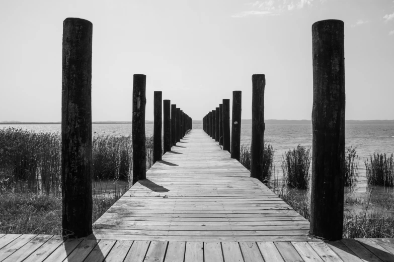 a long dock with multiple posts in the middle