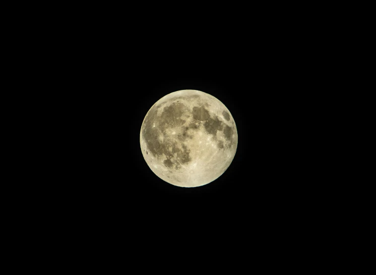 full moon seen over black sky with trees