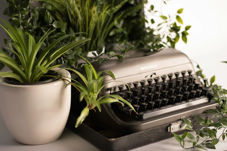 plants and an old - fashioned typewriter on a white surface