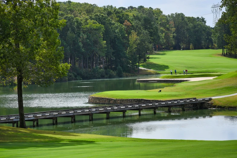 a bridge is over looking a beautiful green area