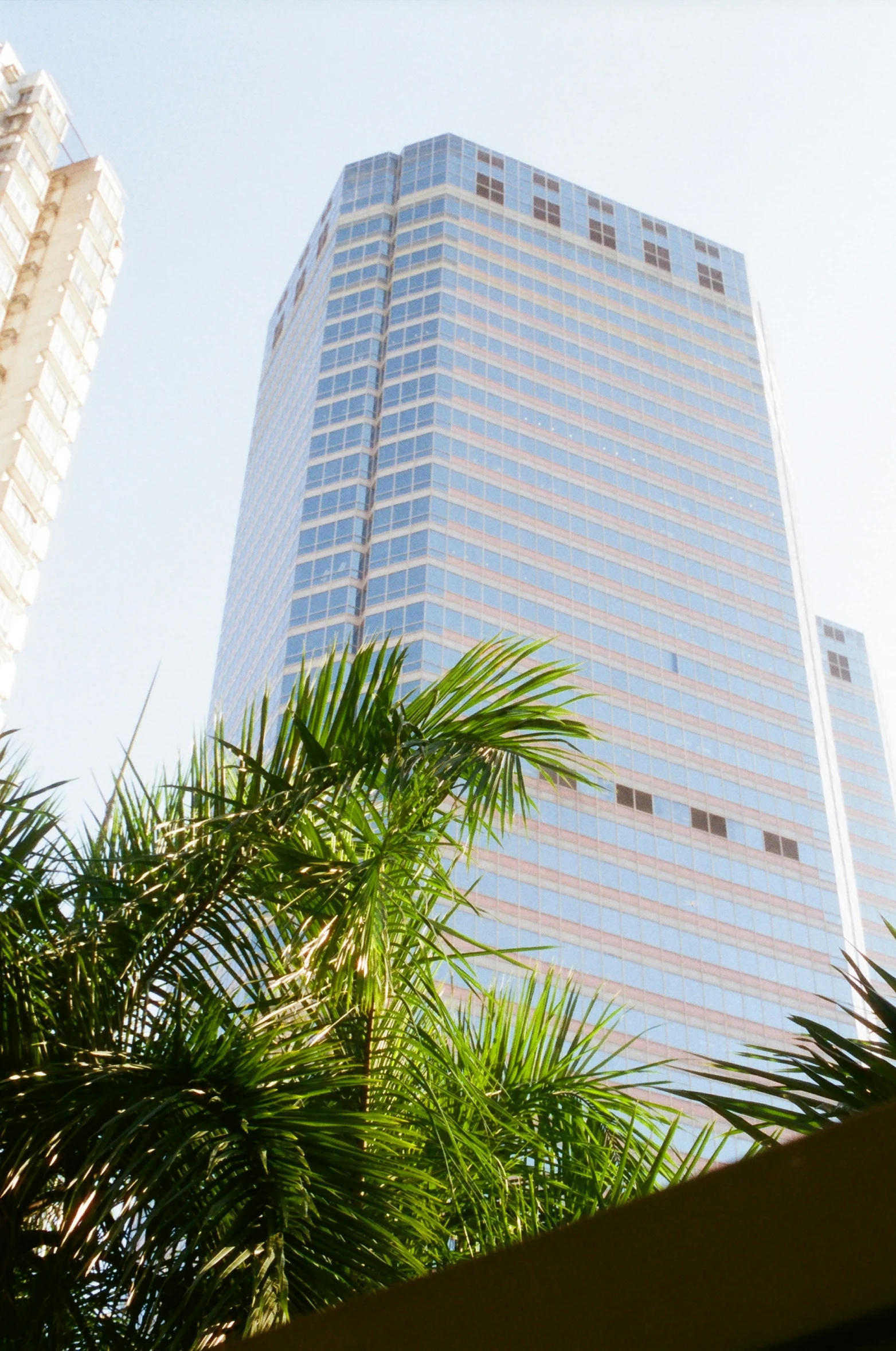 palm trees and skyscrs are visible in the background