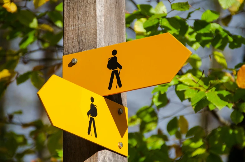 a pedestrian crossing sign next to a wooden pole with a person on it