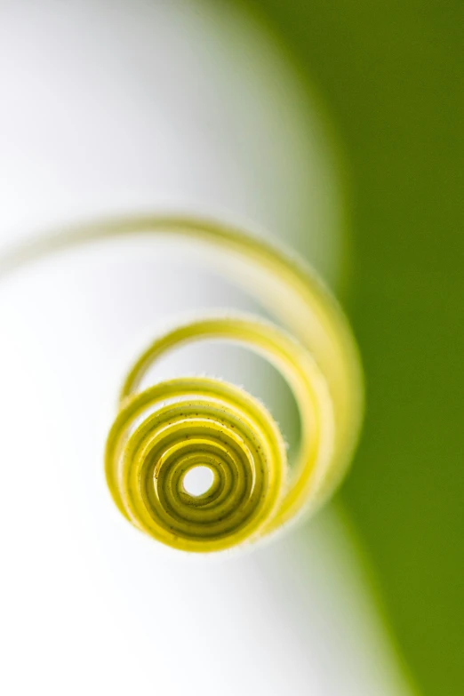 close up s of three spirals on a white surface