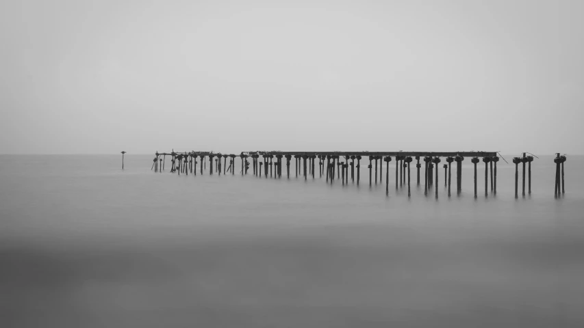 old wooden posts sticking out of the ocean