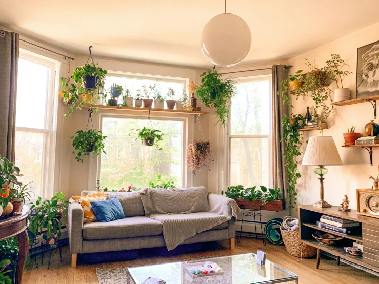 this living room has plants and decor on the windows