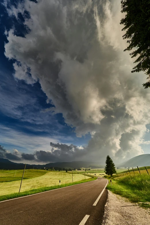 a rural road runs into a rolling field