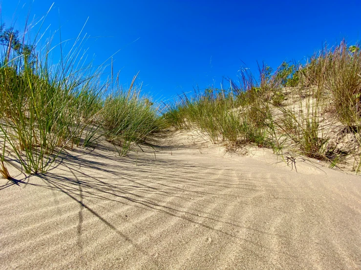 the ground is covered in sand with grass