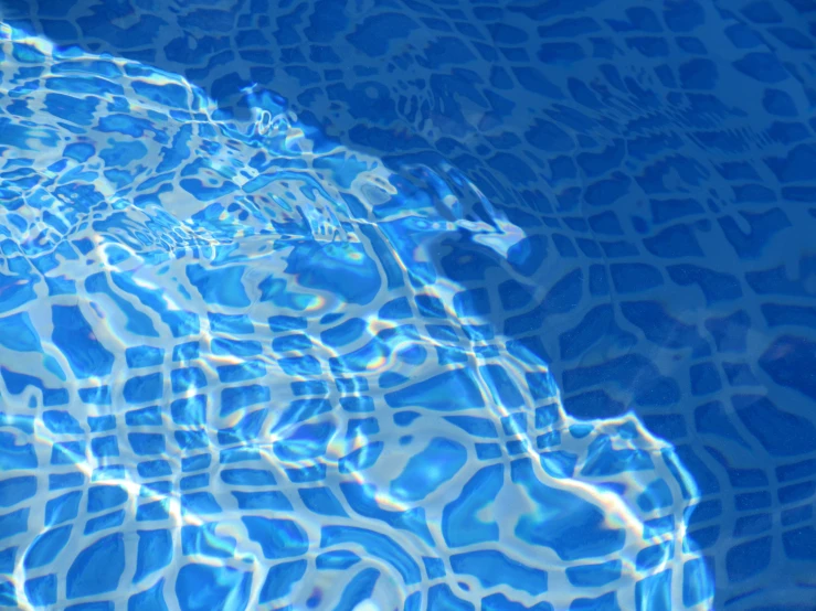 shadows are seen on the surface of a pool