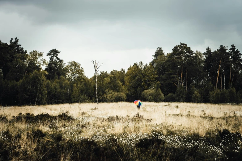 someone is holding an umbrella in the woods