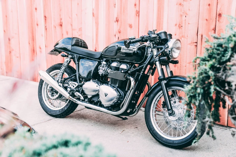 the motorcycle is parked by the fence next to a small tree