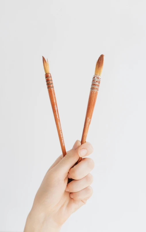 two small round pointed wooden brushes in one hand