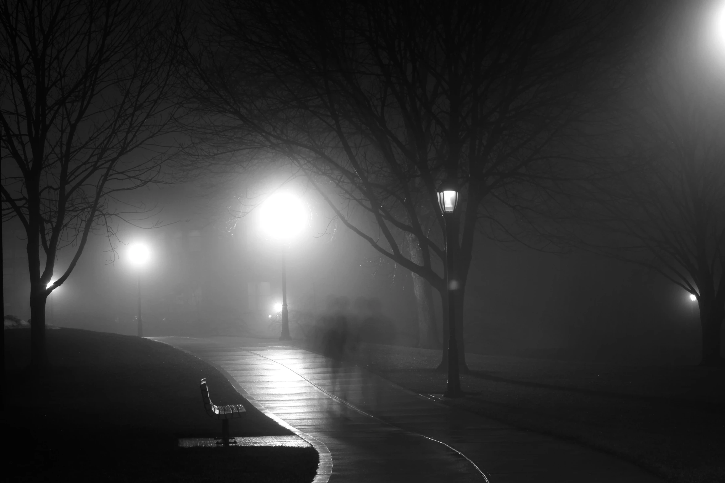 a foggy park is pictured with street lamps and benches