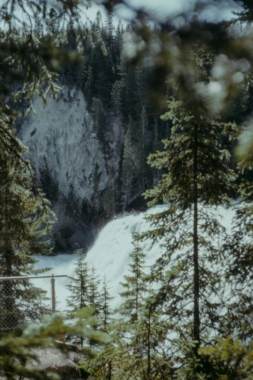 snow covers the forest and trees surrounding a large hole